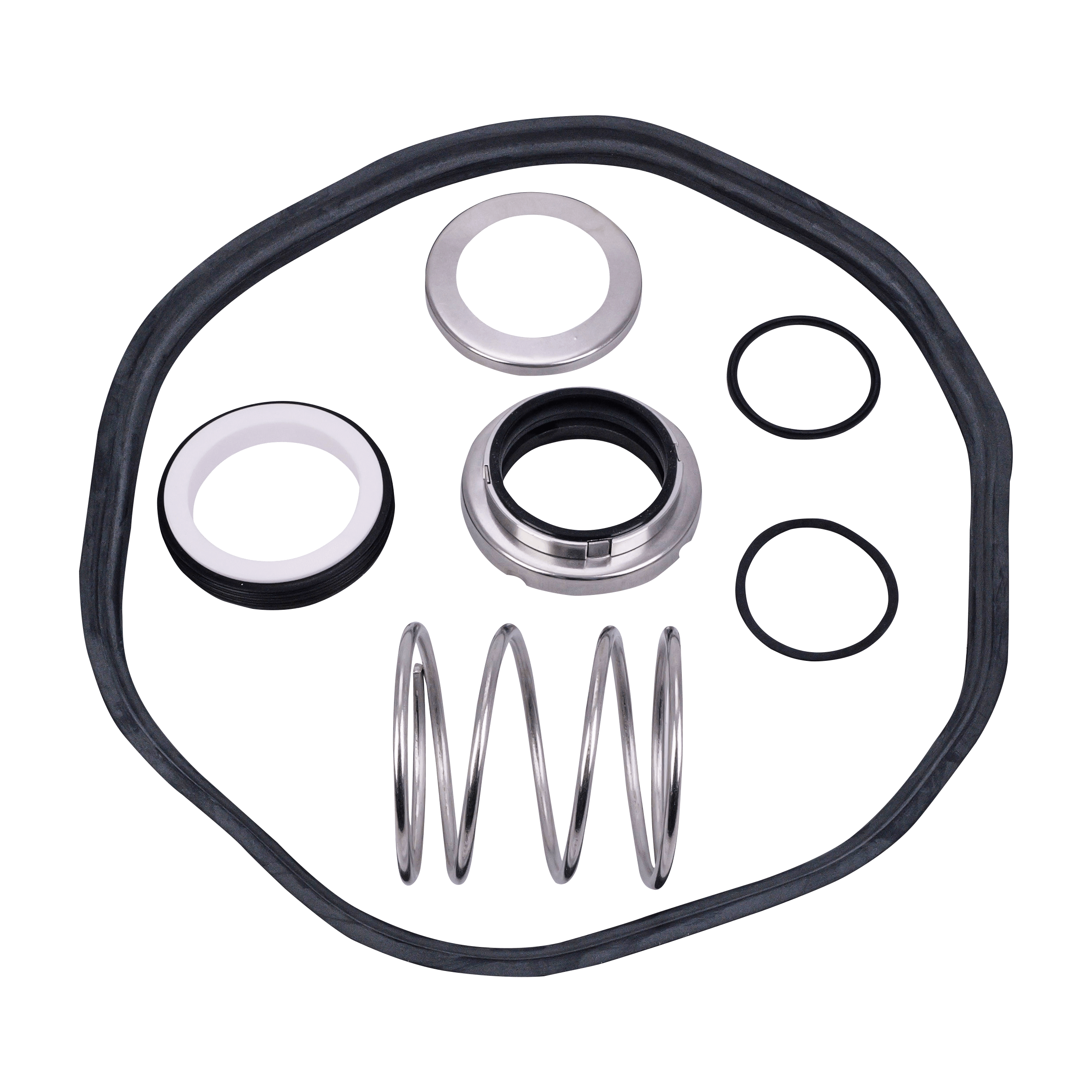 Seal kit 1.75 CER/C buna IC plus T21 Ampco pumps