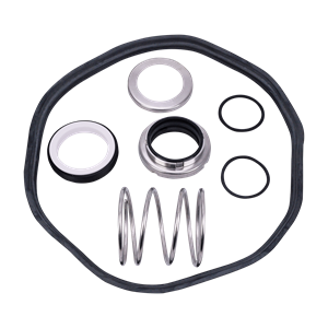Seal kit 1.75 CER/C buna IC plus T21 Ampco pumps