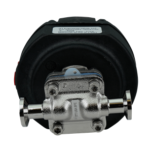 PF-V-702138 4.png