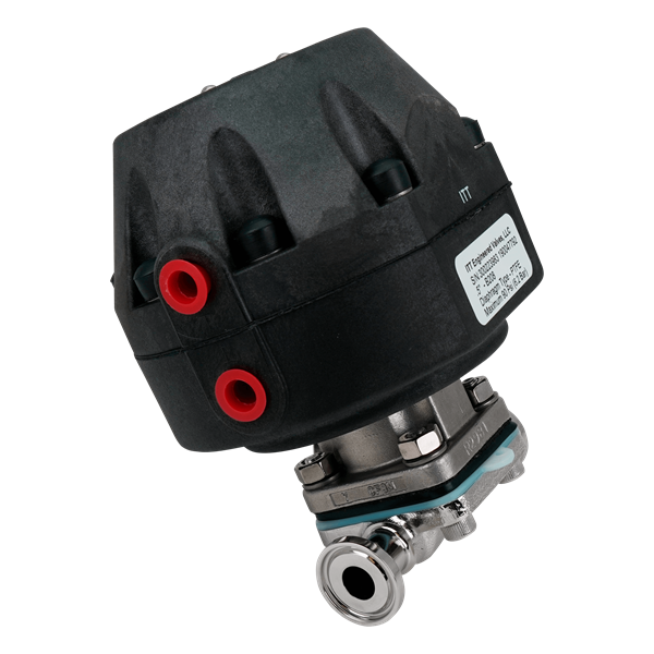 PF-V-702138 3.png