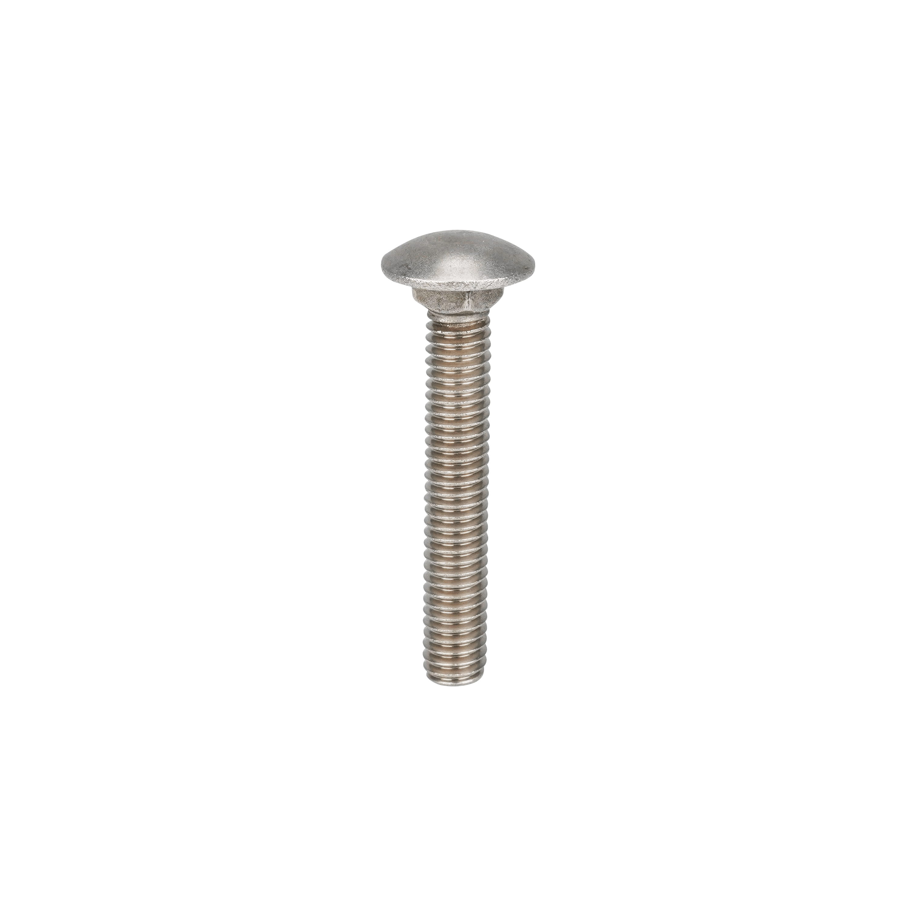 Bolt RHSN 5/16-18 x 2 Wilden