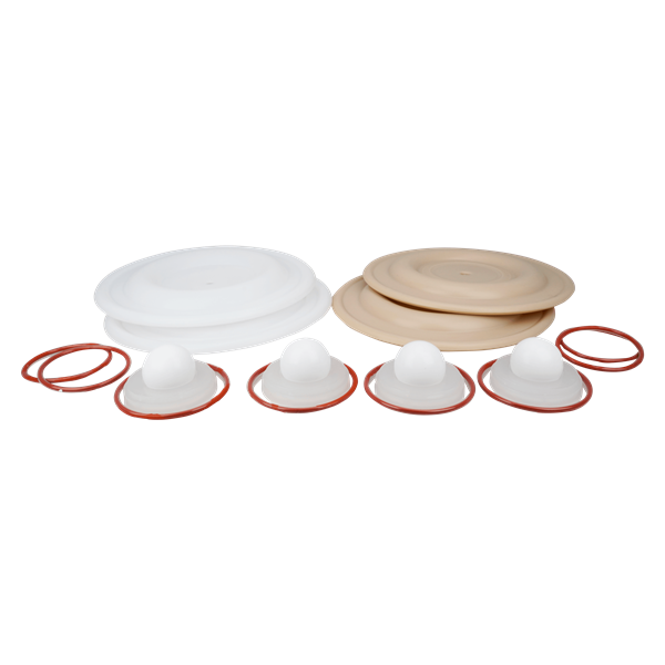 Repair kit wet 1" bolted plastic PTFE All-flo