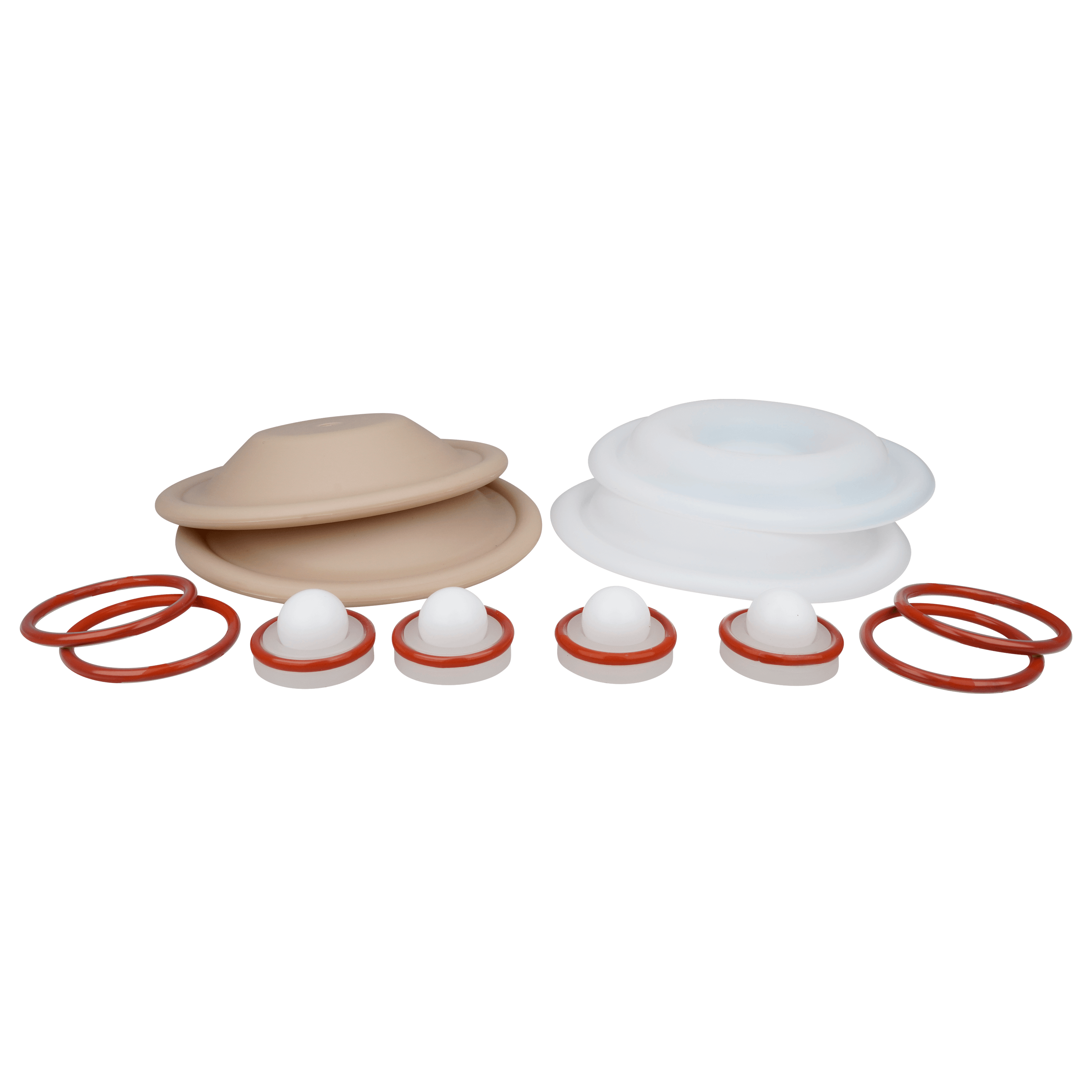 Repair kit wet 0.5" bolted plastic PTFE for All-Flo pumps
