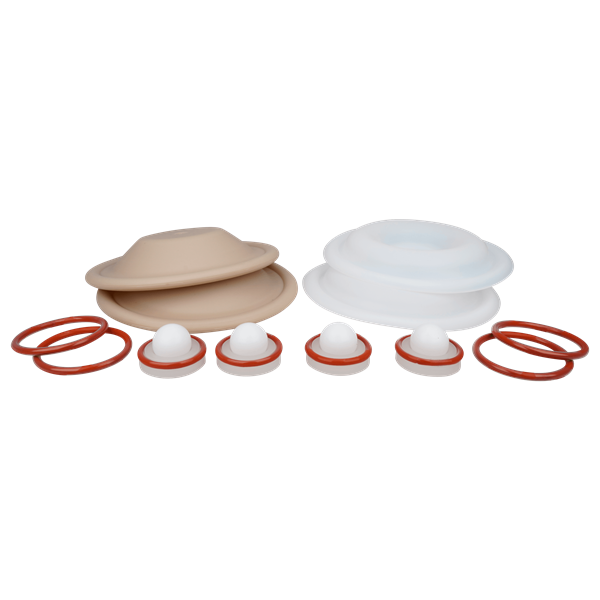 Repair kit wet 0.5" bolted plastic PTFE for All-Flo pumps