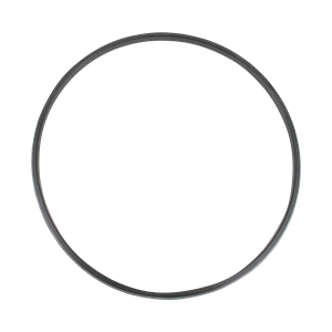 V-ring RA/I 6" IPS EJF-80 Varivent GEA