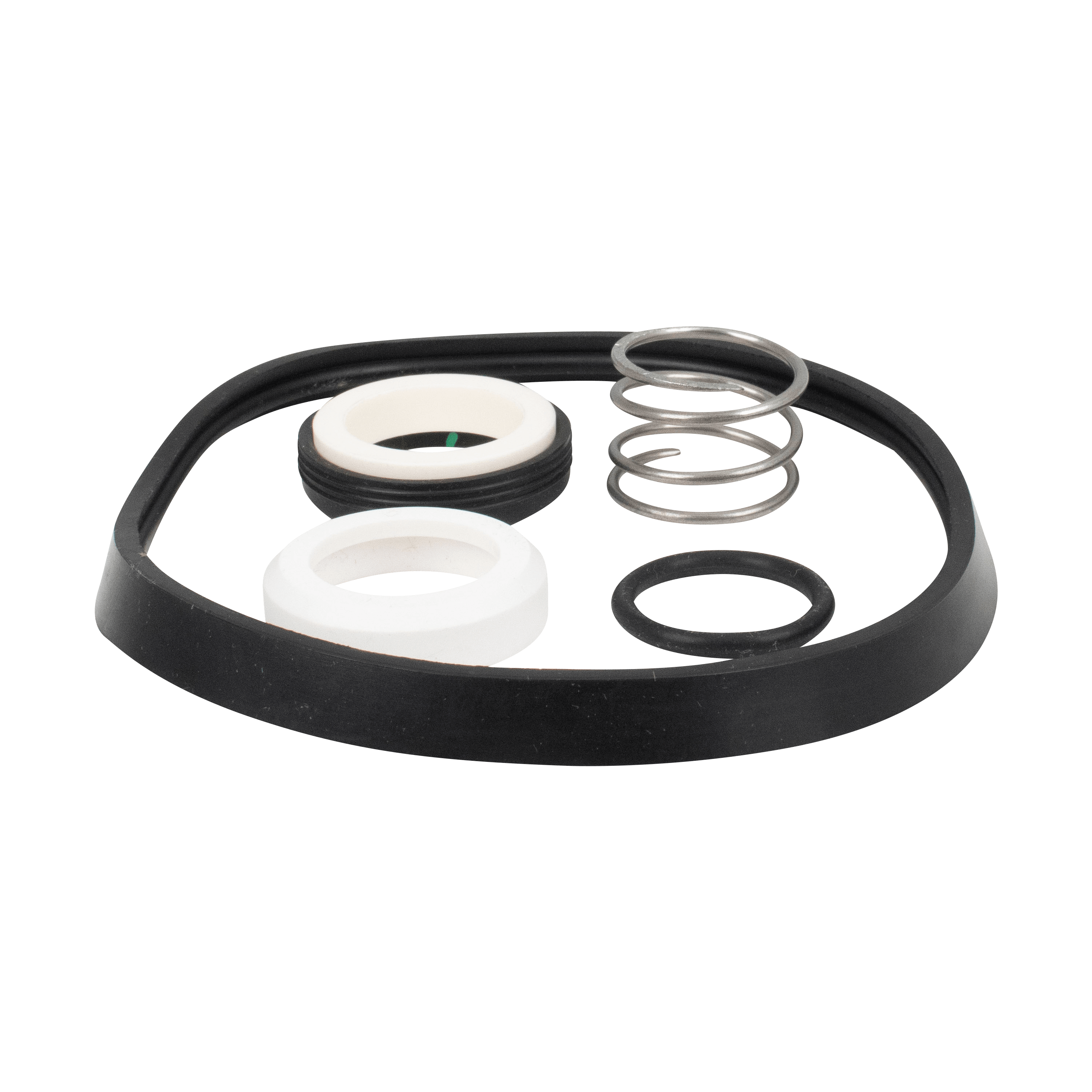 Seal kit PTFE SP51 pump