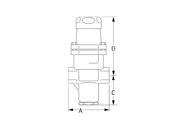 SRV25 NPT Dimensional Diagrams