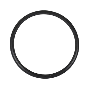 Seal ring, 97, EPDM, 4", Varivent, GEA