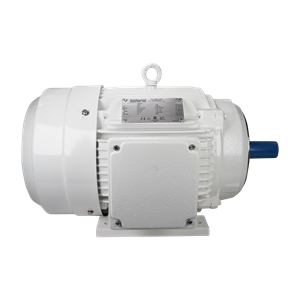 Motor, 15HP, 3600 RPM, 3-phase, 60Hz, compatible with 208V, 230V, and 460V power supplies, IP55 rated, washdown design, with a 254TC frame, manufactured by Sterling.
