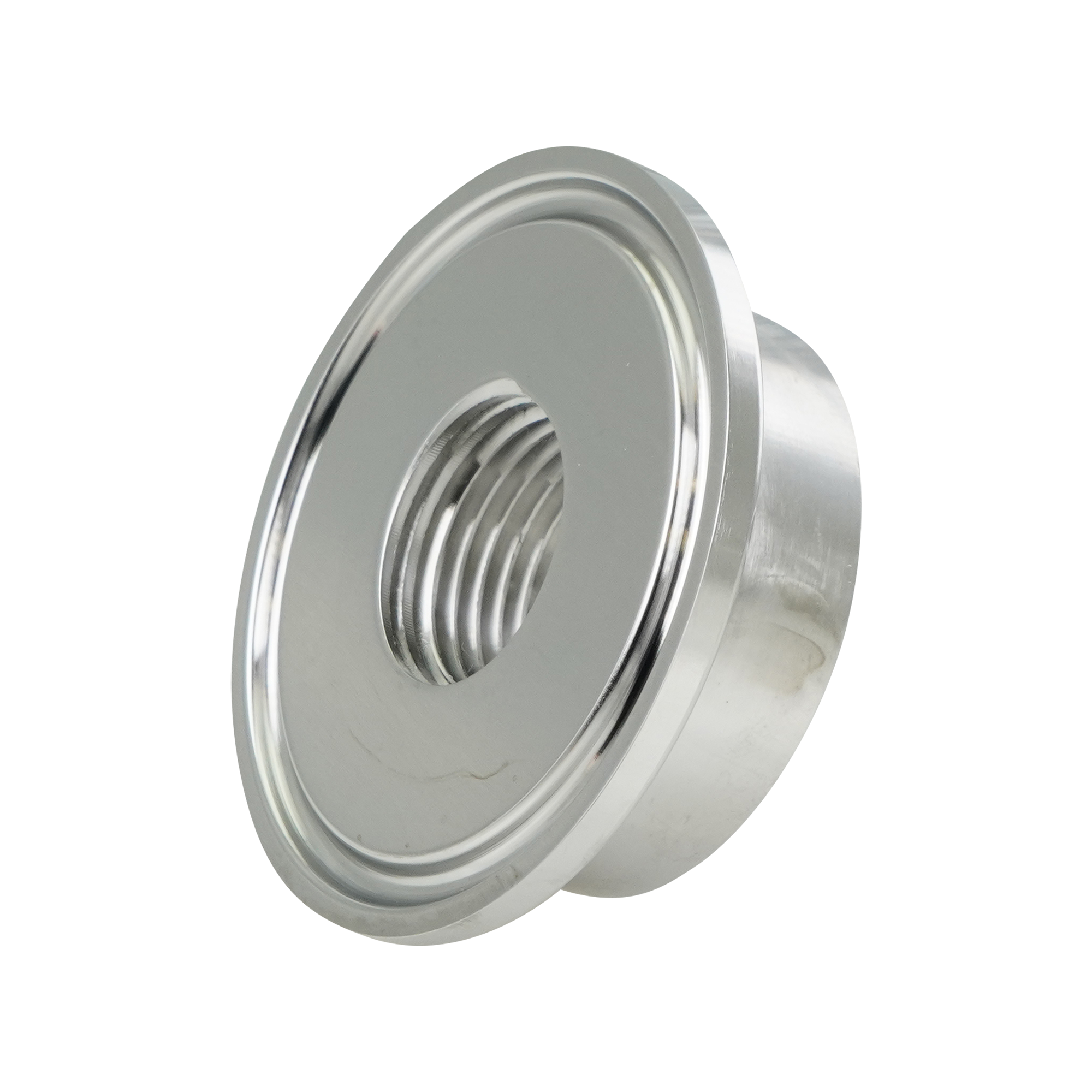 Tri-Clamp Thermometer Caps (23BMP)