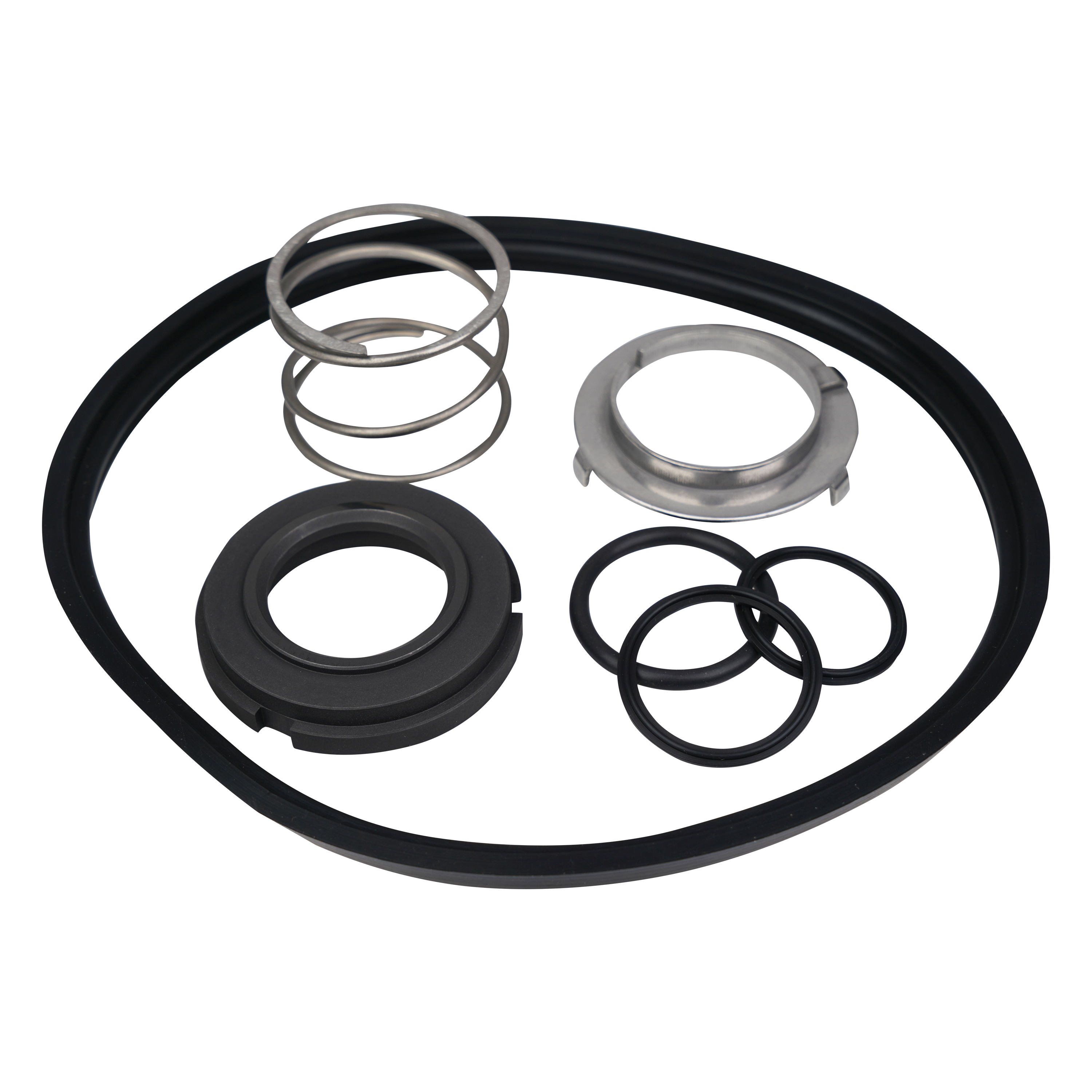 Seal kit viton D for C216 plus Ampco