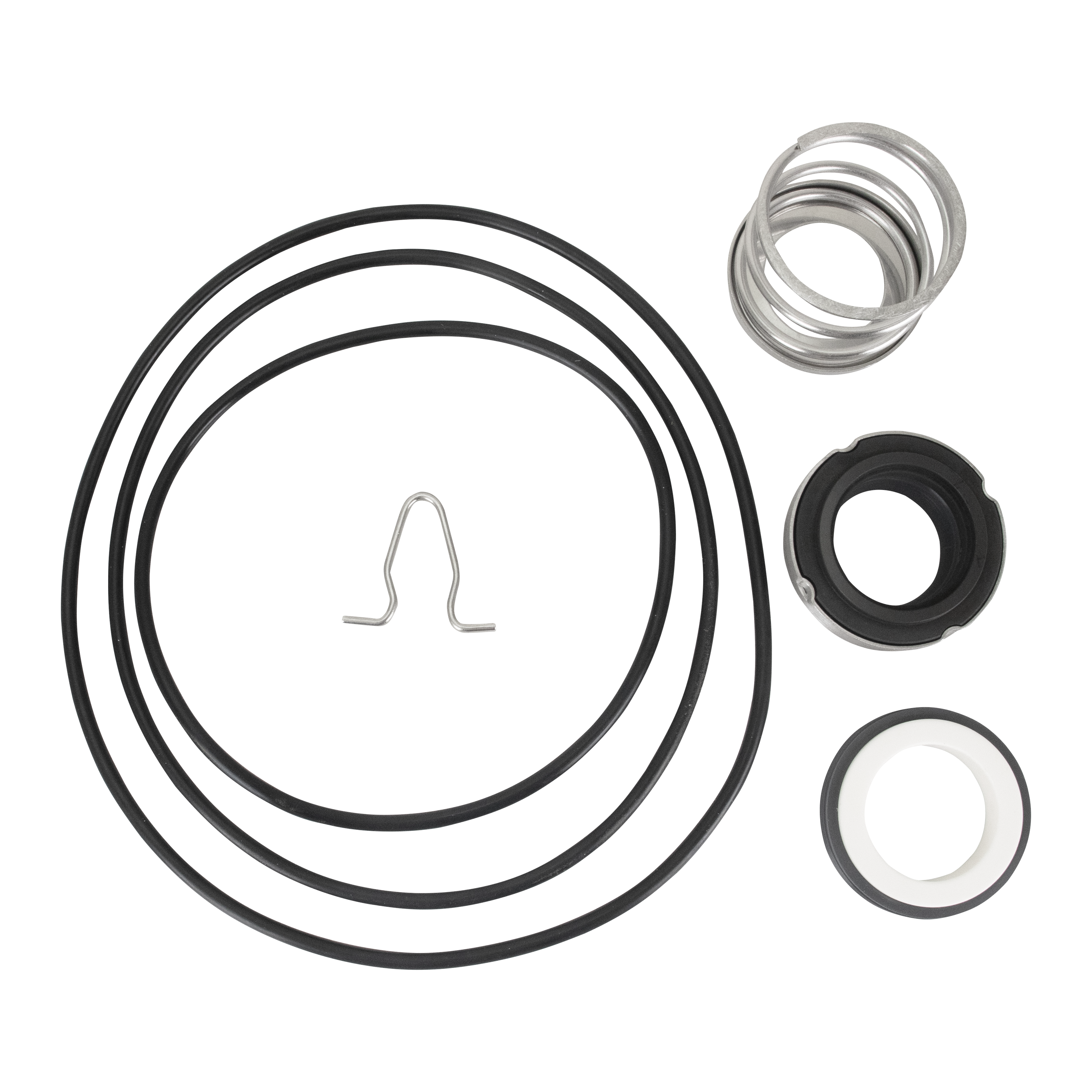 Replacement external seal kit C/CER/GRY-viton pump MDL 4 5 6