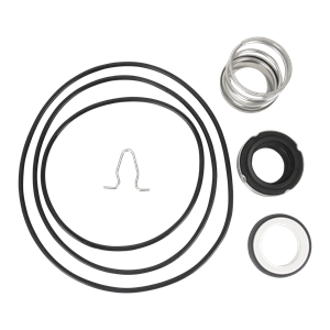 Replacement external seal kit C/CER/GRY-viton pump MDL 4 5 6