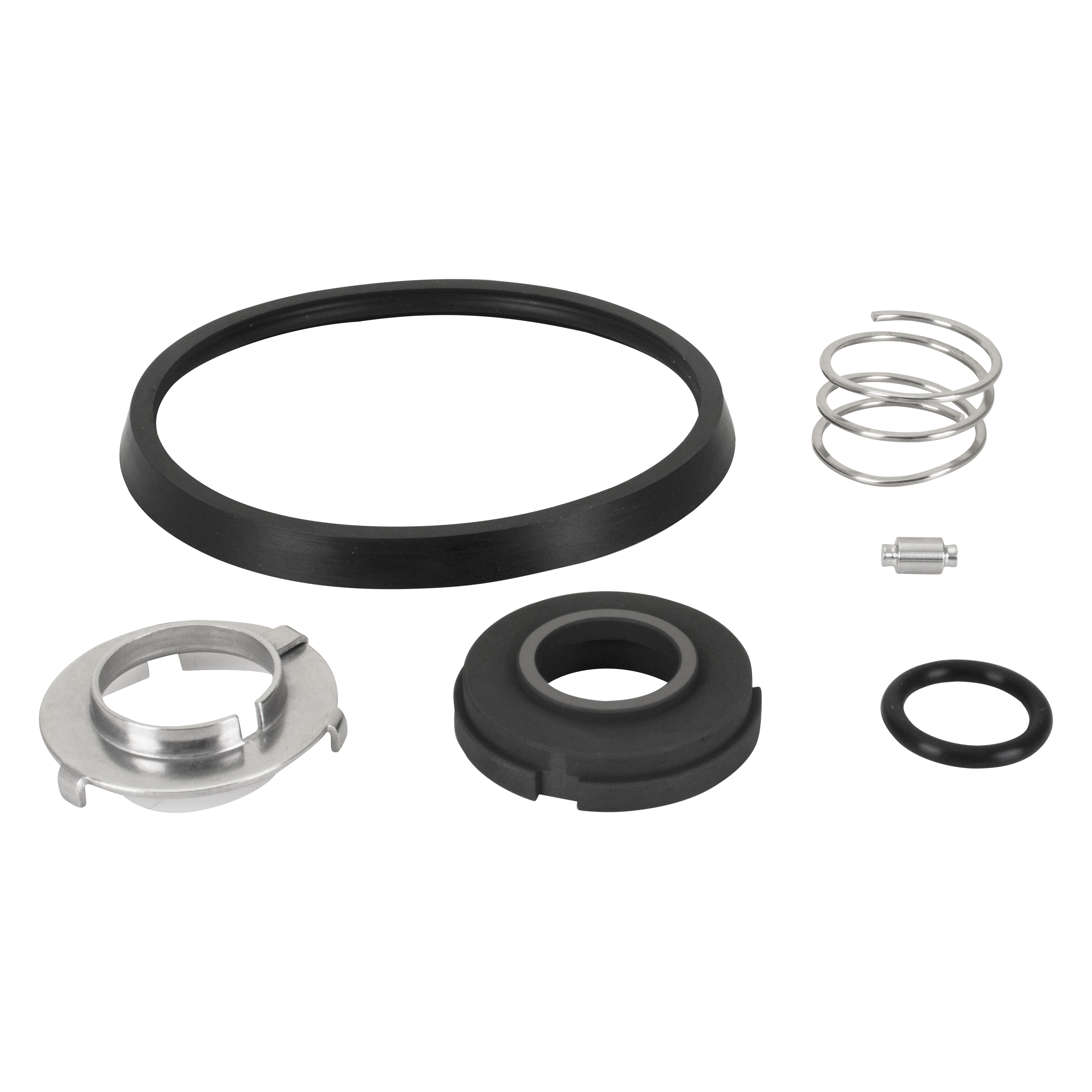 Replacement Buna service kit for hygienic systems, ensuring reliable performance.
