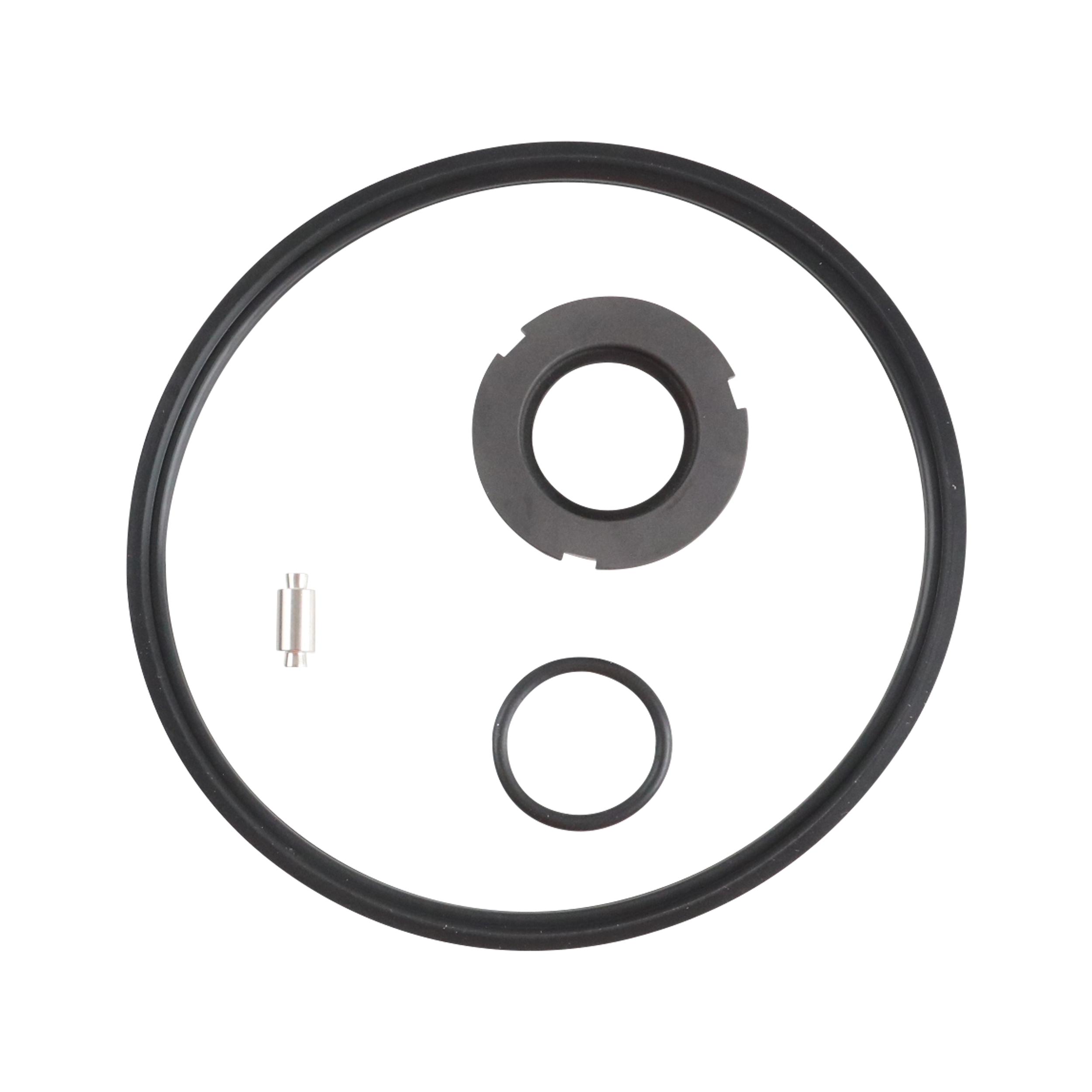 Seal kit, Viton material, suitable for C216 pumps.
