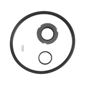 Seal kit, Viton material, suitable for C216 pumps.