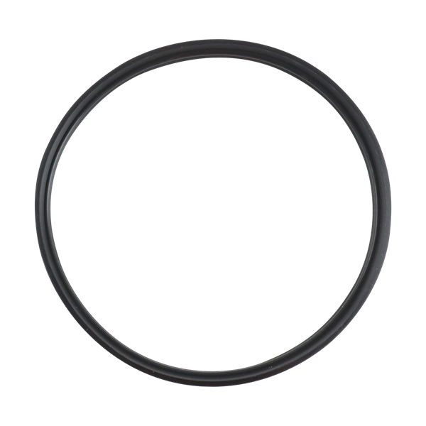 Casing Gasket, made of Viton, equivalent to part number 9634049389, model 328.