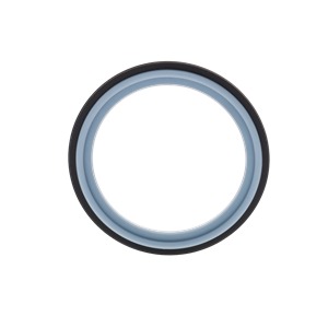 GASKET ENVELOPE 2" TC TYPE III TUF-FLEX EPDM USP CLASS VI RUBBERFAB