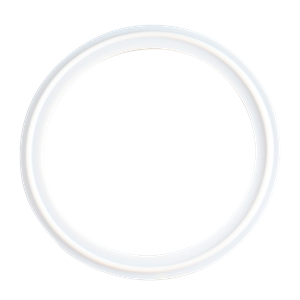 Gasket with 1.5-inch tri-clamp connection, featuring a Teflon envelope with Viton material, USP Class VI compliant, manufactured by Newman.
