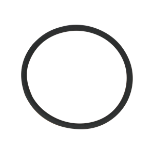 ROTOR NUT O-RING FDA VITON U2 ZP2 45 60 64 130 134 AMPCO