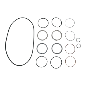SEAL KIT ZP3 MODEL 220 180 SINGLE MECH SC/TC VITON AMPCO