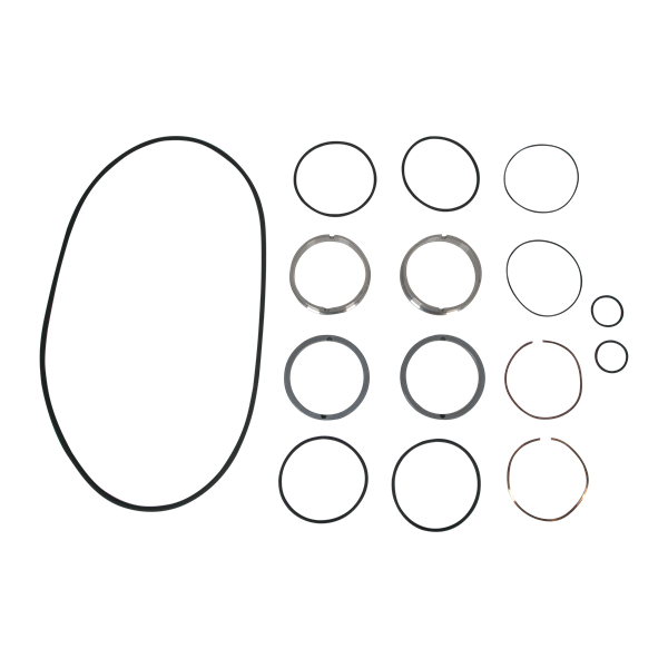 SEAL KIT ZP3 MODEL 220 180 SINGLE MECH SC/TC VITON AMPCO