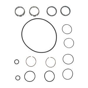SEAL KIT ZP3 MODEL 06 15 18 SINGLE MECH SC/TC FDA VITON AMPCO