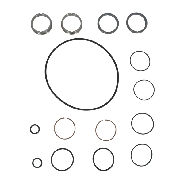 SEAL KIT ZP3 MODEL 06 15 18 SINGLE MECH SC/TC FDA VITON AMPCO