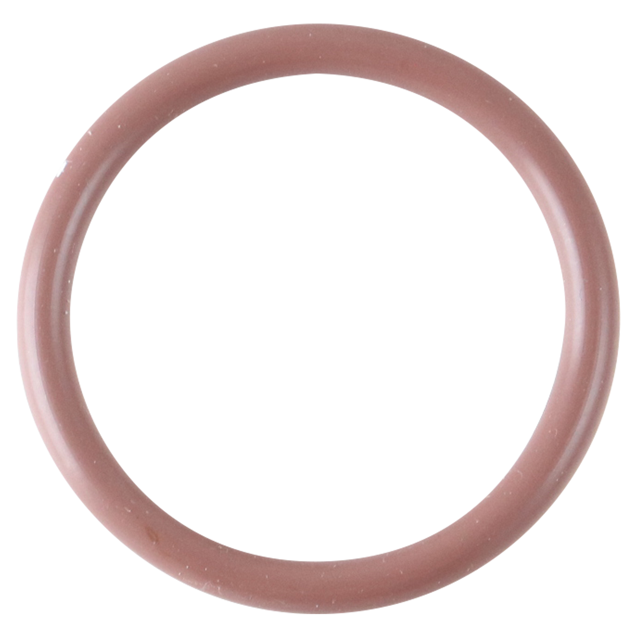 BD0079V00
