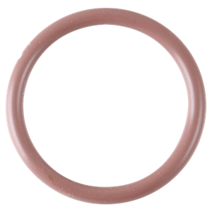 BD0079V00