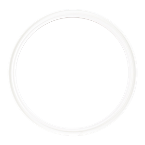Gasket flanged 6" tri-clamp EPDM white USP class VI