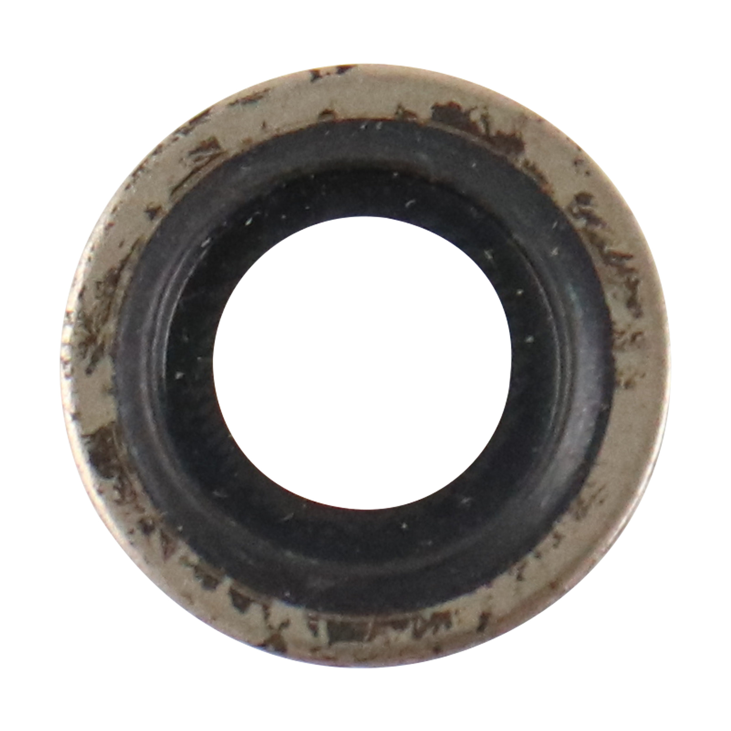 TE20G584
