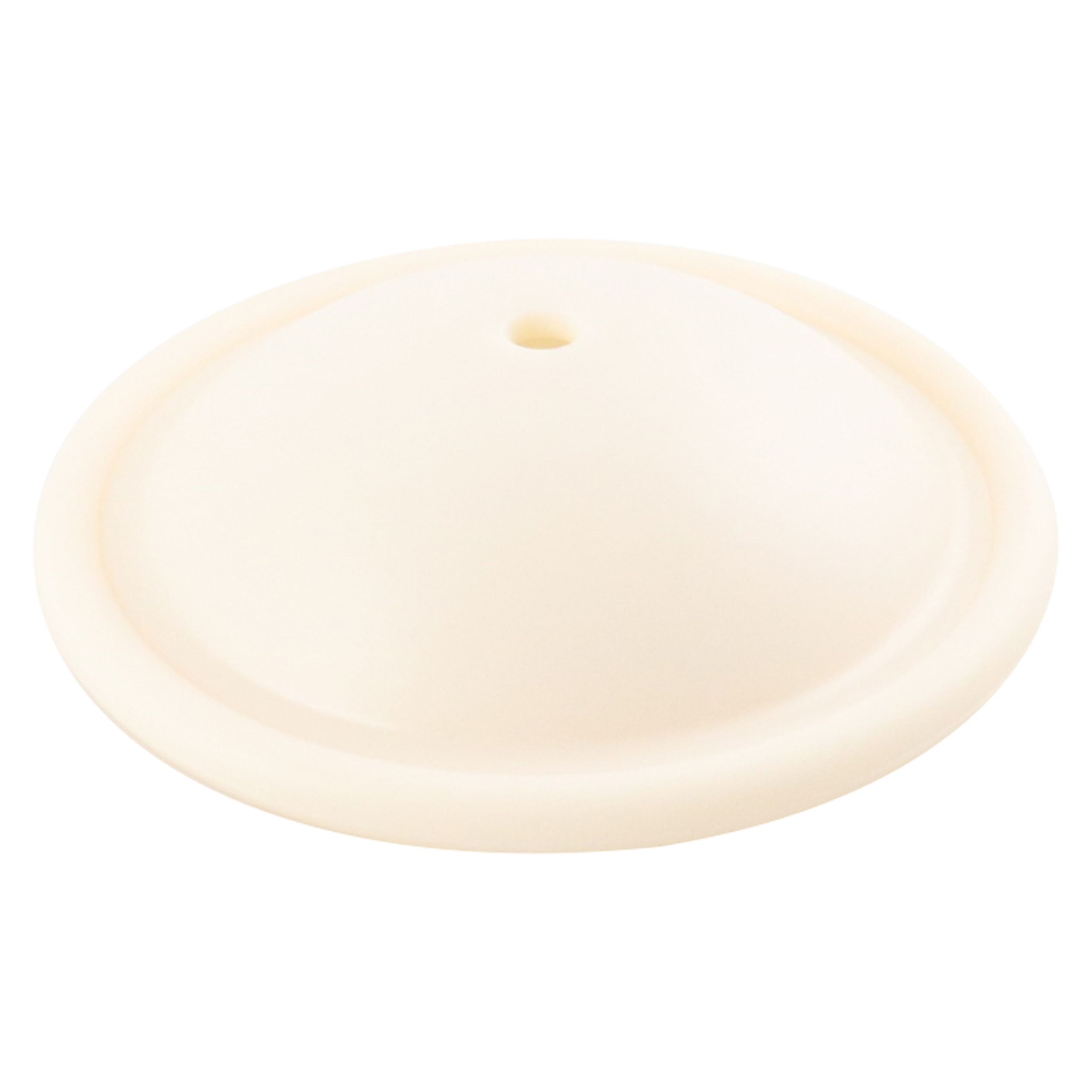 Primary Diaphragm, made of Saniflex material, manufactured by Wilden