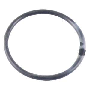 O-Ring, 0.924-inch inner diameter x 0.103-inch width, encapsulated in Polytetrafluoroethylene (PTFE), manufactured by Wilden.