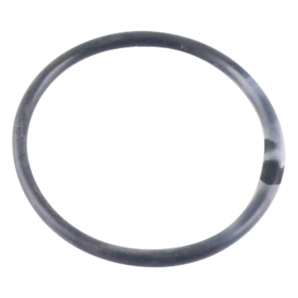 O-Ring, 0.924-inch inner diameter x 0.103-inch width, encapsulated in Polytetrafluoroethylene (PTFE), manufactured by Wilden.