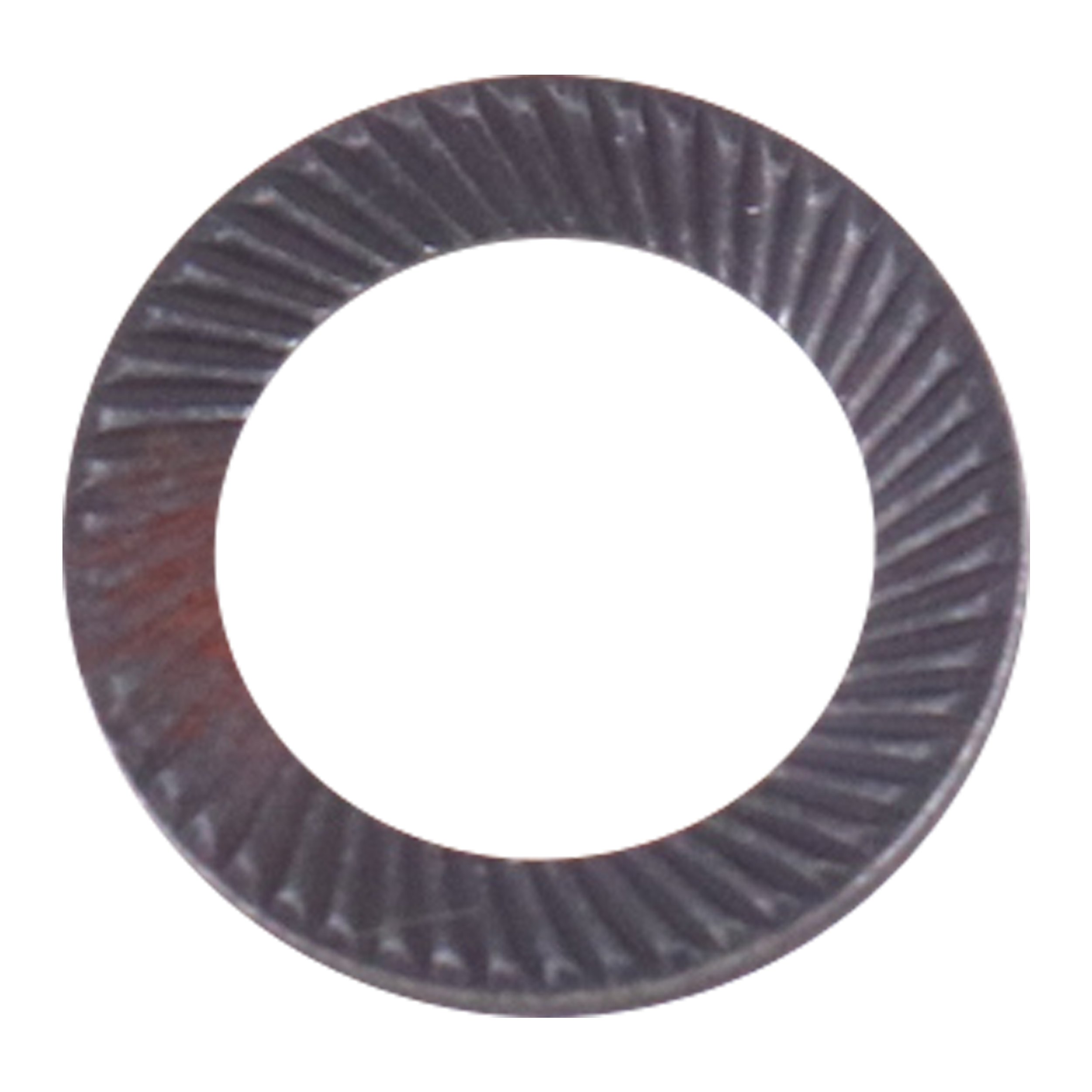 Disc spring washer 0.331" inner diameter x 0.512" outer diameter Wilden