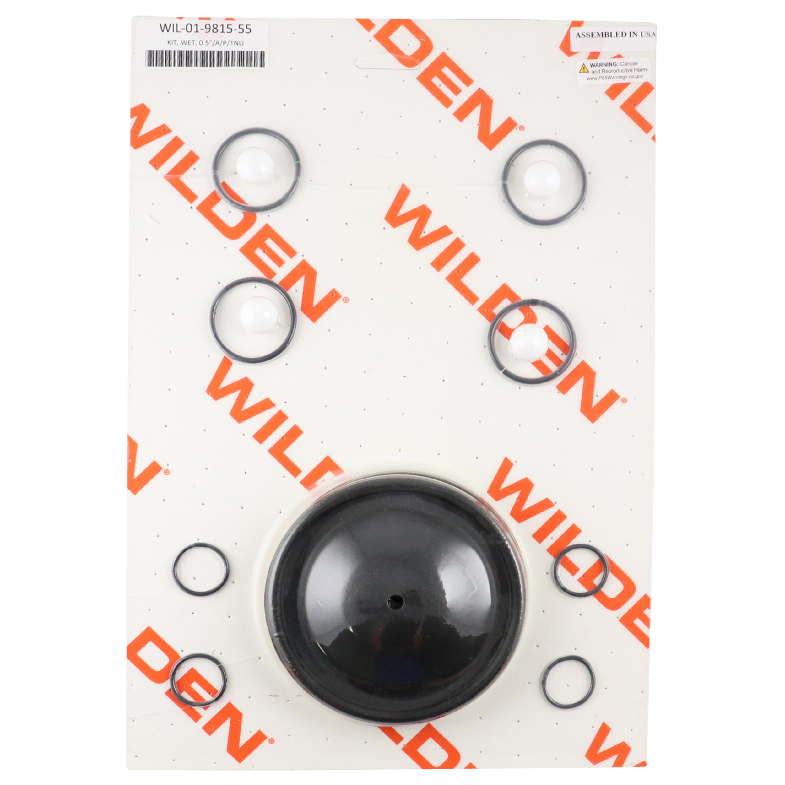 Repair kit for 0.5-inch advanced plastic components, includes PTFE and neoprene materials, compatible with Wilden pumps.