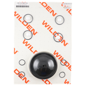 Repair kit for 0.5-inch advanced plastic components, includes PTFE and neoprene materials, compatible with Wilden pumps.