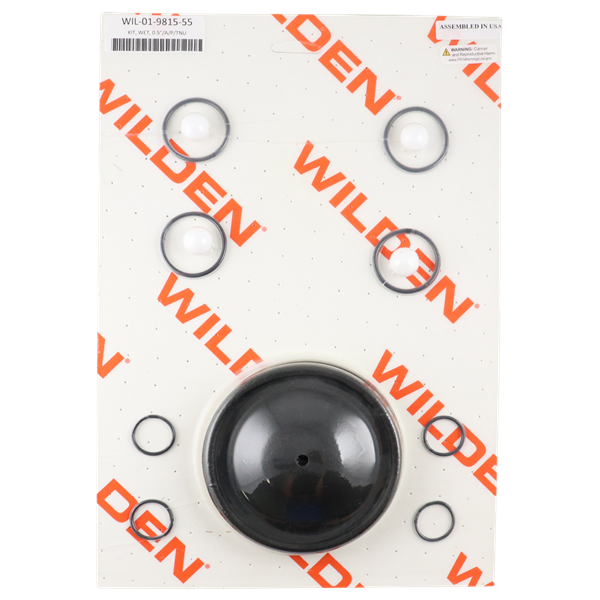 Repair kit for 0.5-inch advanced plastic components, includes PTFE and neoprene materials, compatible with Wilden pumps.