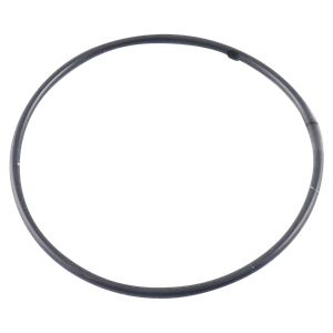 O-ring 2.734 x 0.139 TFE / VT CH for Wilden pumps