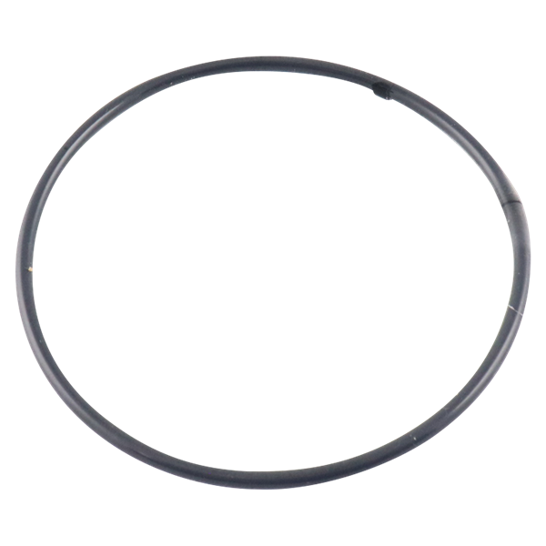 O-ring 2.734 x 0.139 TFE / VT CH for Wilden pumps
