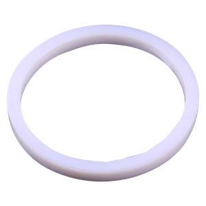 O-ring: 2.5-inch diameter with a 0.265-inch cross-section, Saniflex material, Wilden brand.