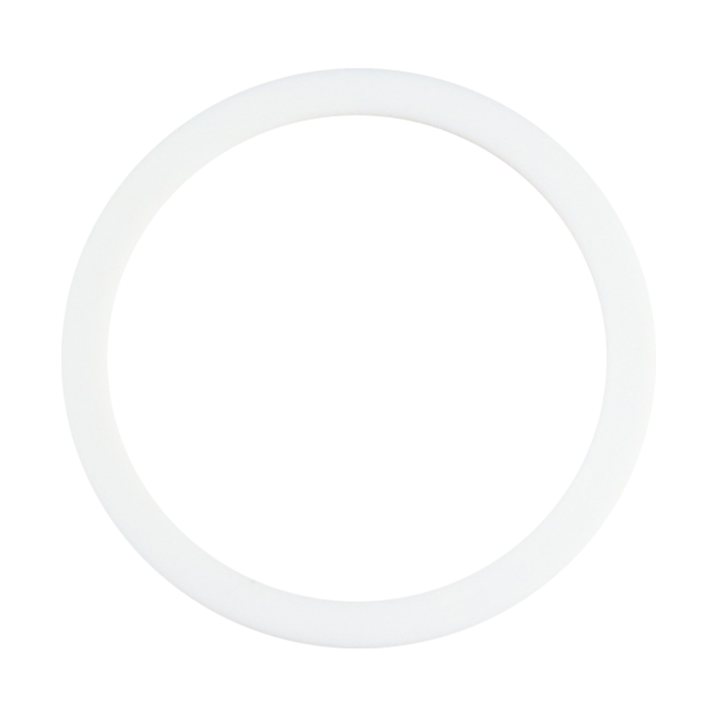 Gasket 1", I-line, teflon, FDA