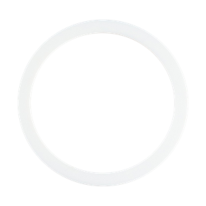 Gasket 1", I-line, teflon, FDA