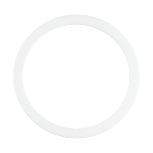 Gasket 1", I-line, teflon, FDA