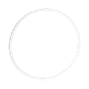 8-inch Tri-Clamp gasket, made from Teflon material