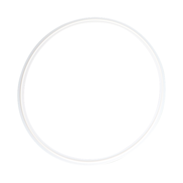 8-inch Tri-Clamp gasket, made from Teflon material