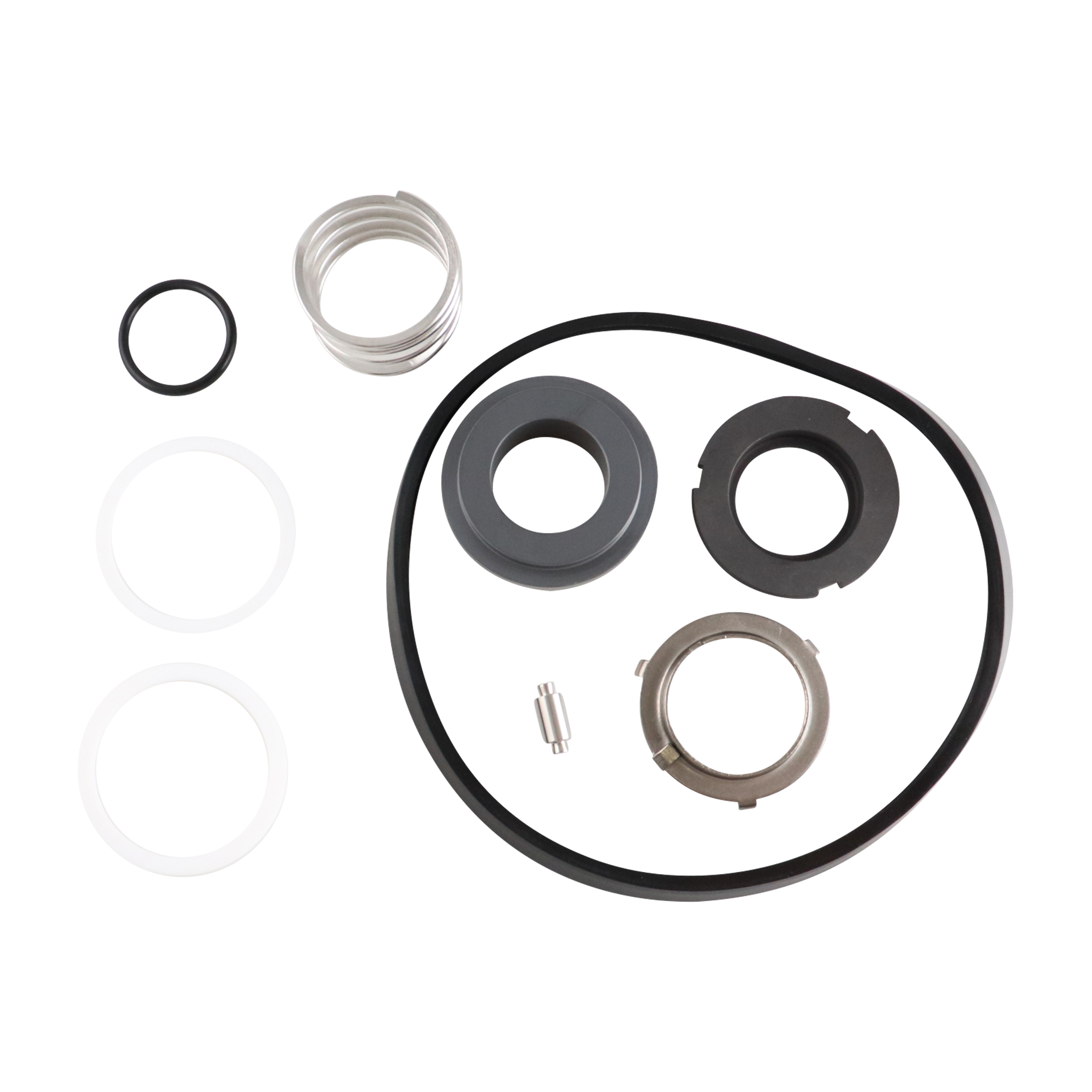 Seal kit buna Material DG for C216 pumps