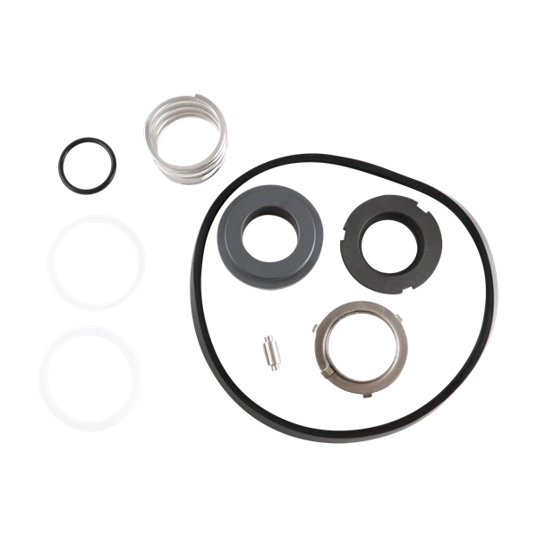 Seal kit buna Material DG for C216 pumps