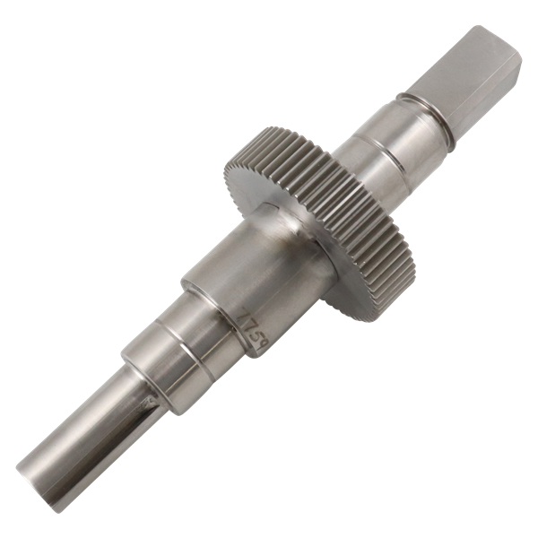 Shaft & gear assembly, long, R3, APV